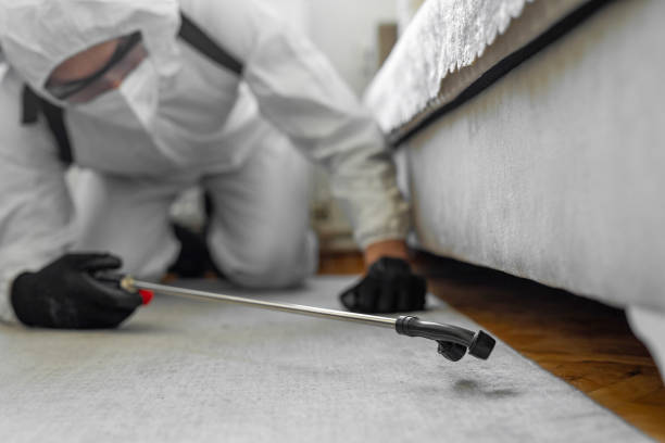 Professional Termite Control technician working in Hardin County County, KY